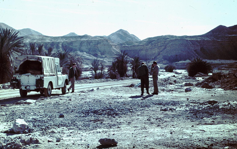 Sinai 50.jpg